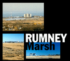 Rumney Marsh